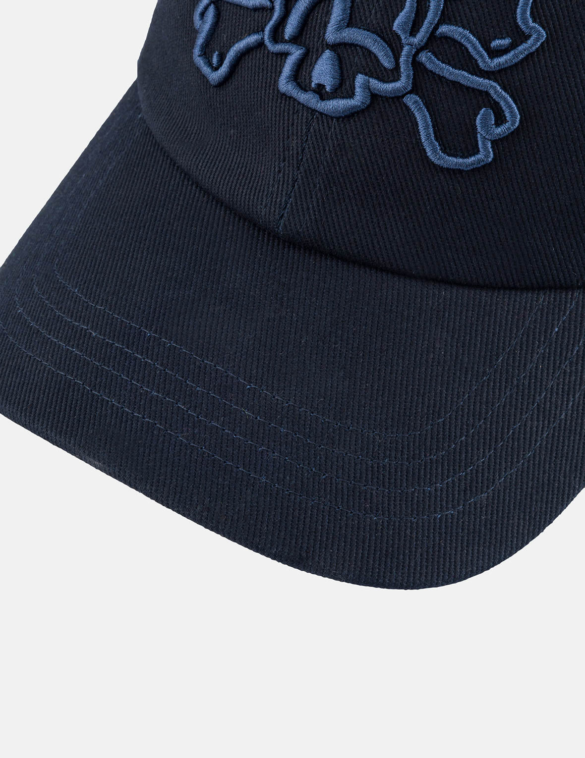 Skull and Seagull Embroidery Cap