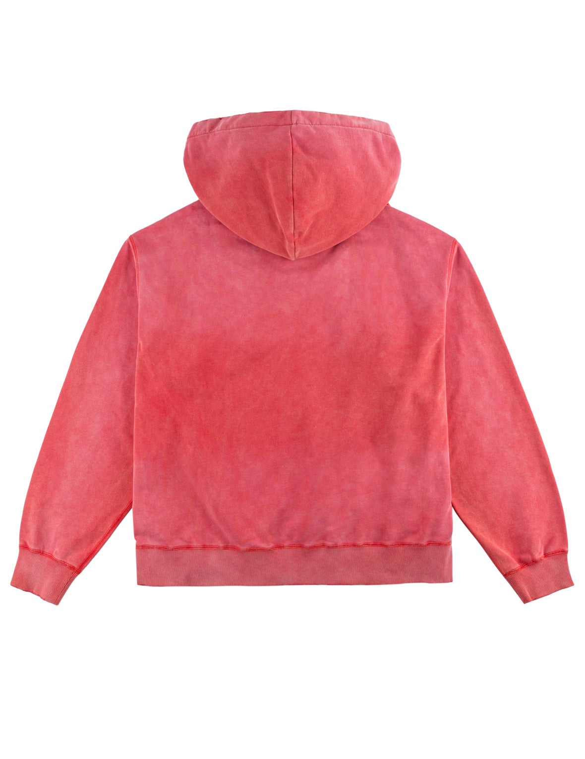 水洗EVISU Dry All Goods連帽衛衣