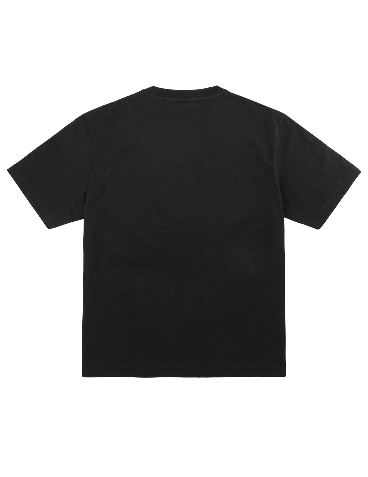 Tiger EVISU T-Shirt