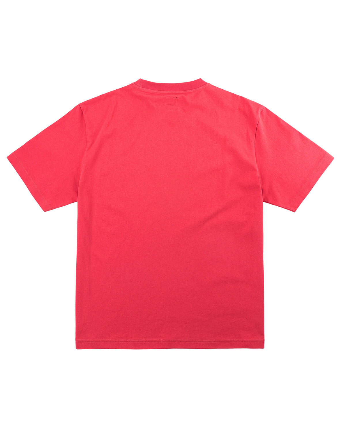 Tiger EVISU T-Shirt