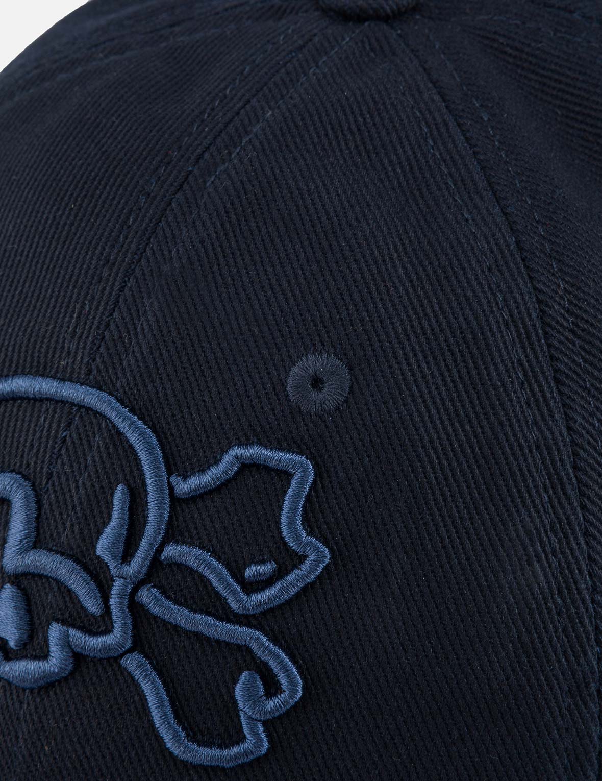 Skull and Seagull Embroidery Cap