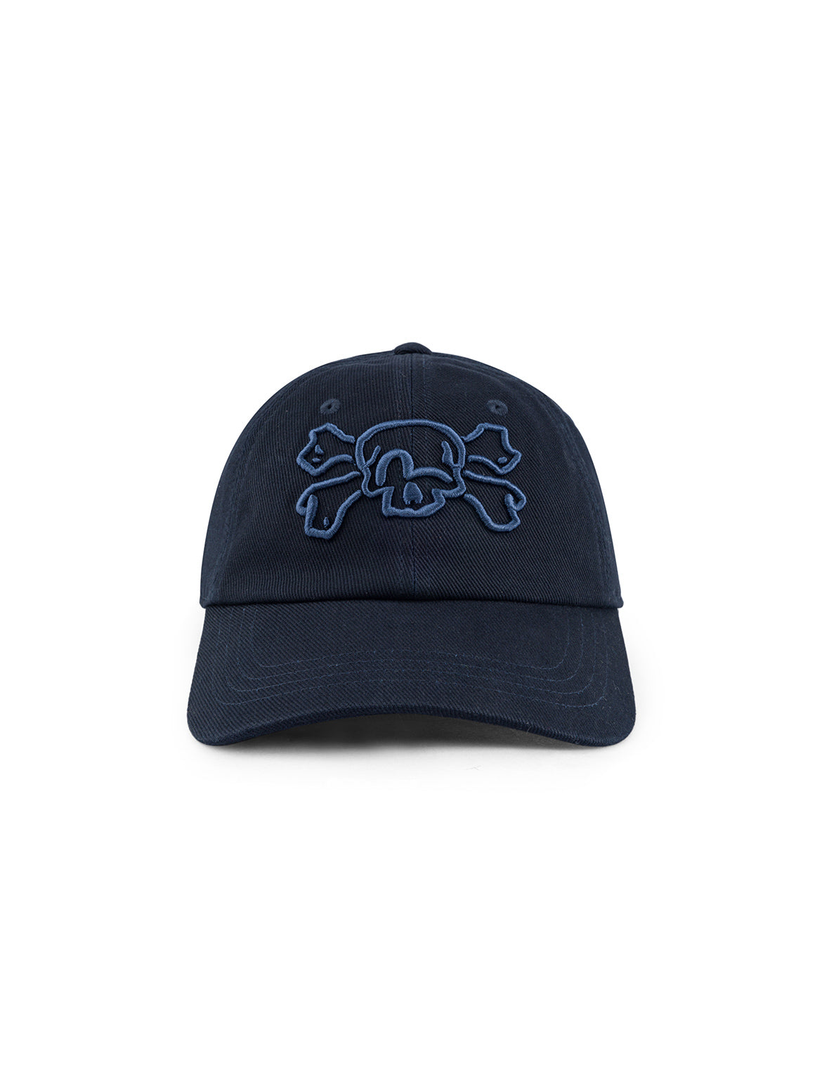 Skull and Seagull Embroidery Cap
