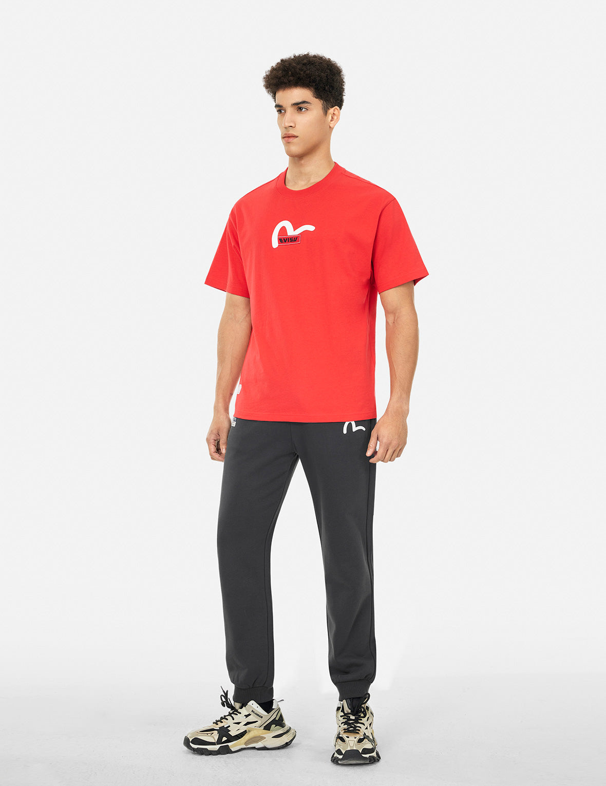 Spray-dyed Seagull and Logo Print Straight Fit Sweatpants