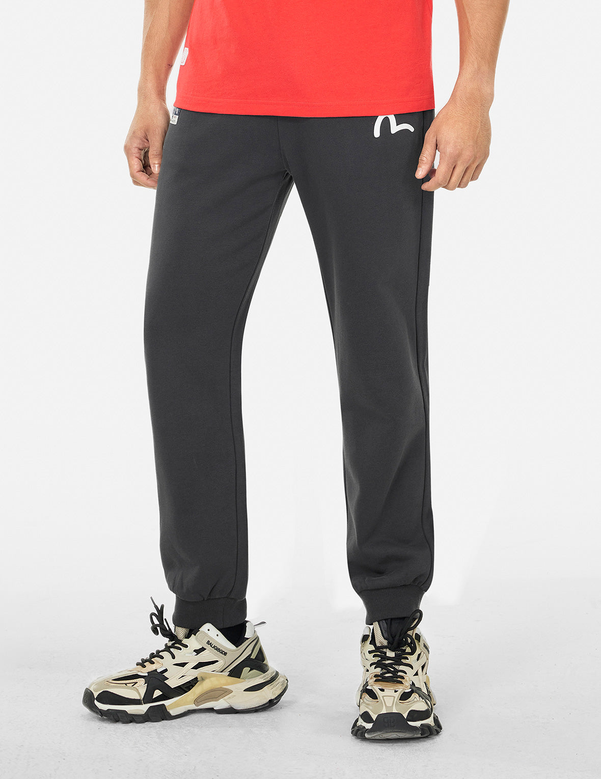 Spray-dyed Seagull and Logo Print Straight Fit Sweatpants