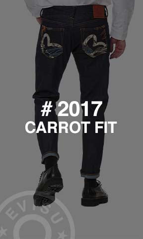 Carrot Fit 2017