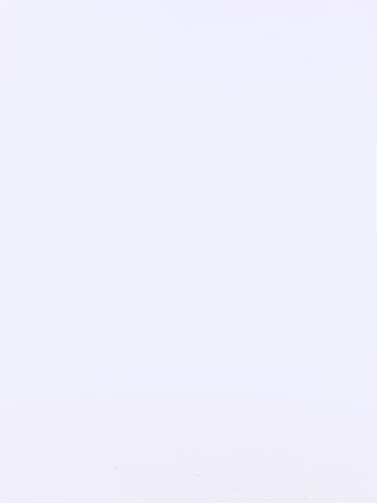 2ESHTM3JO168LFCS